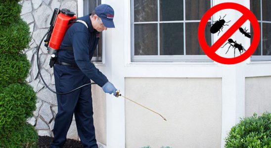 Dilovası Dezenfeksiyon böcek ilaçlama ve haşere kontrolü — ilaclama-tr.com